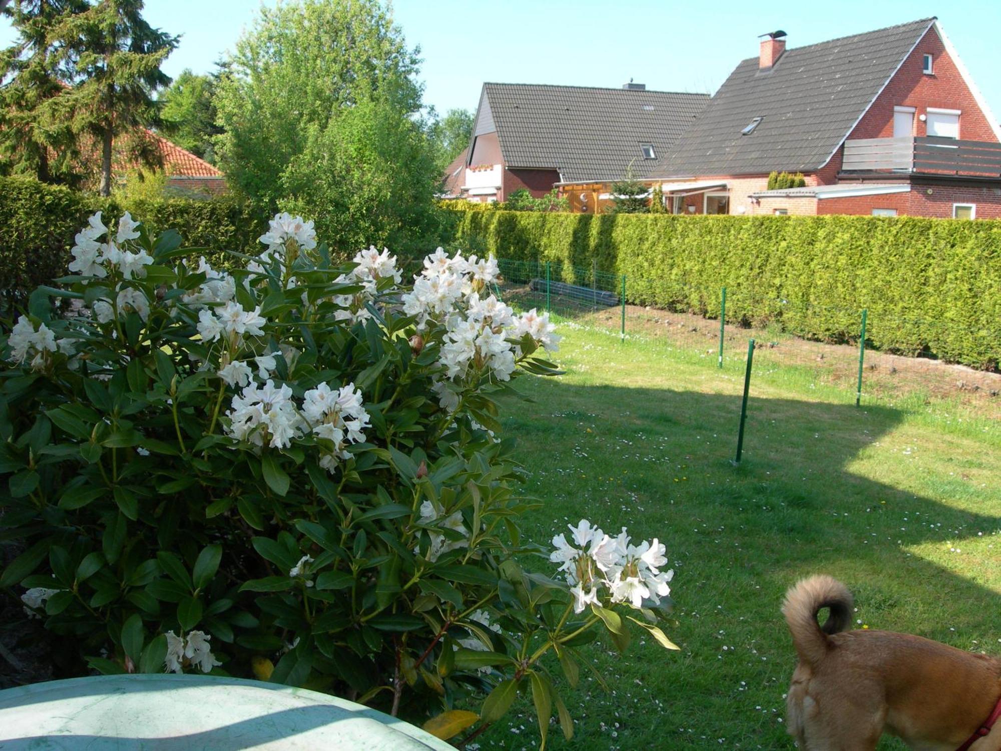Appartements Krueger Hage Exterior foto